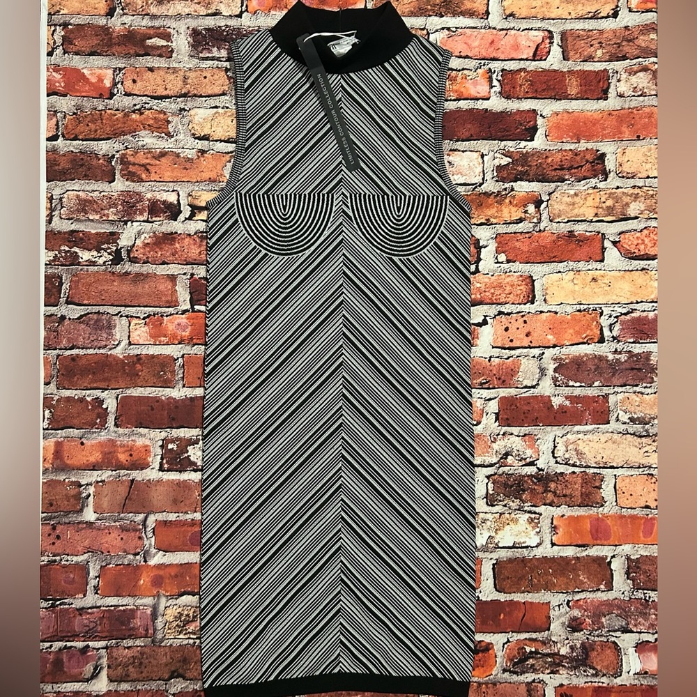 Zara Limitless Contour Collection Bodycon Dress